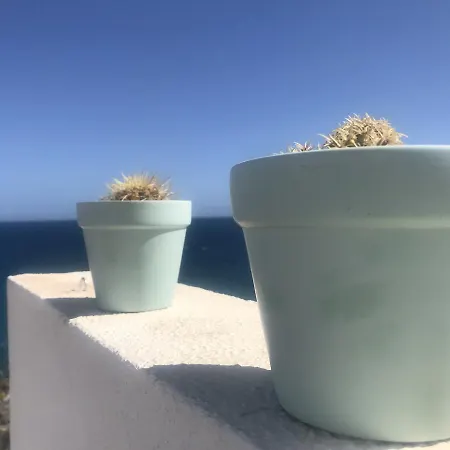 Apartament 21